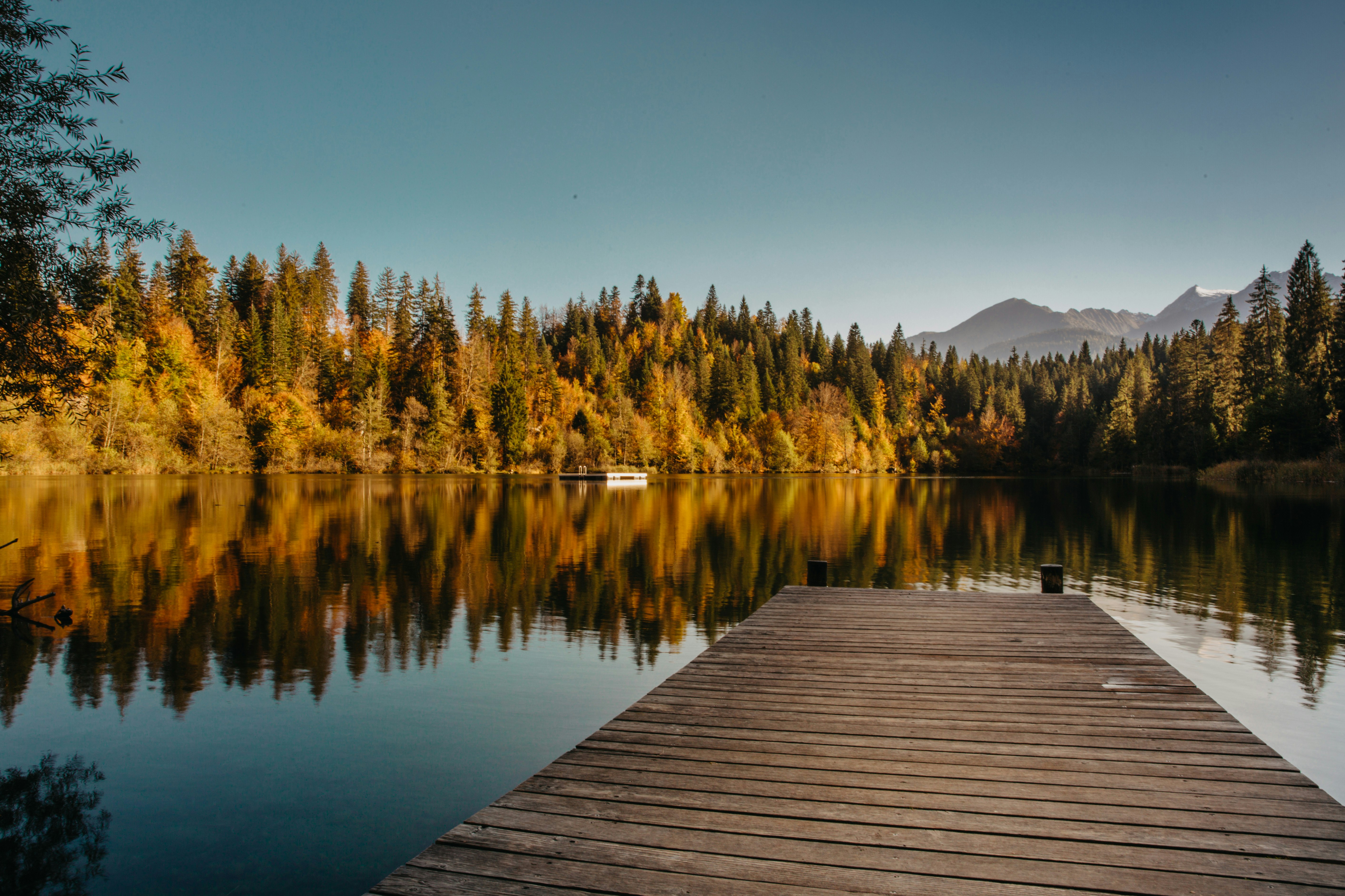 wooden dock over body of water